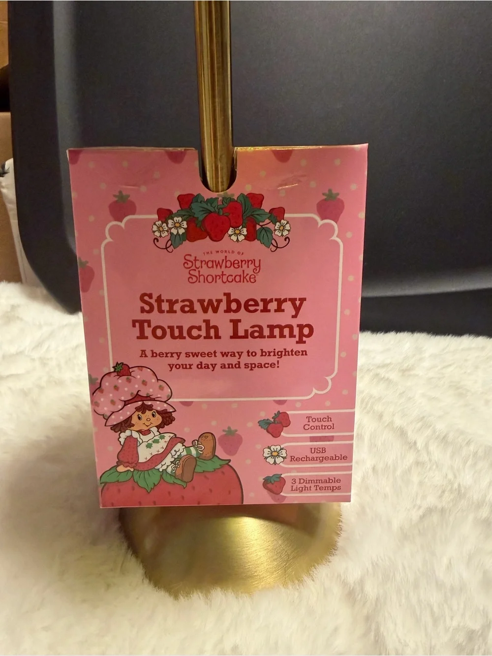 Strawberry Touch Lamp - Pink and Red Glass Shade